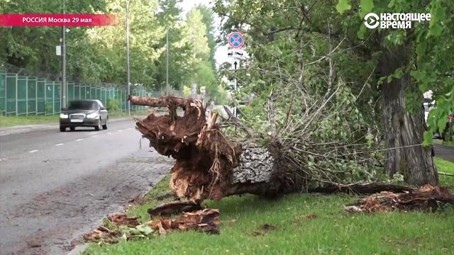 Ураган в Москве: как это было Ураган в Москве: как это было