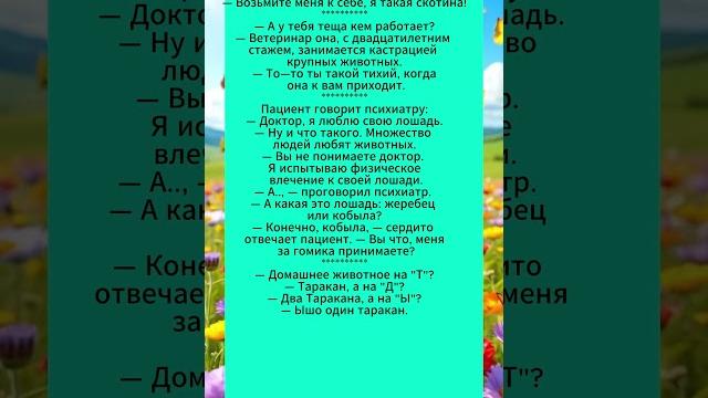 Сборник анекдотов.#анекдоты #смешныевидео Сборник анекдотов.#анекдоты #смешныевидео