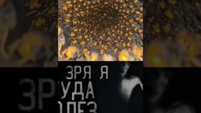 #ужасы #юмор #ужасы #юмор