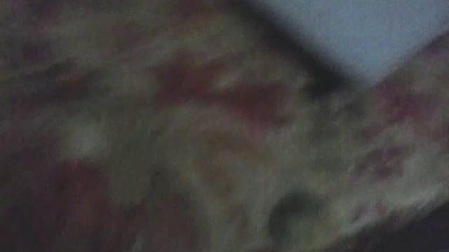 Видео наоборот! Reverse. Видео наоборот! Reverse.