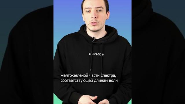 Почему светлячки светятся? | #shorts Почему светлячки светятся? | #shorts
