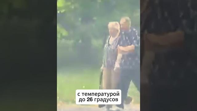 Погода в Беларуси в начале лета / #новостибеларуси Погода в Беларуси в начале лета / #новостибеларуси