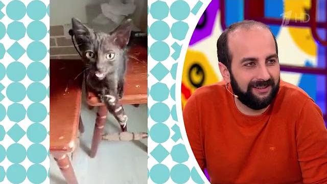 Видели видео Выпуск от 27 04 2025 Видели видео Выпуск от 27 04 2025