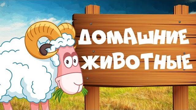 ДОМАШНИЕ ЖИВОТНЫЕ для детей - развивающие мультики учим животных для самых маленьких на русском ДОМАШНИЕ ЖИВОТНЫЕ для детей - развивающие мультики учим животных для самых маленьких на русском