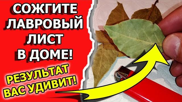 Что будет, если поджечь лавровый лист в доме Что будет, если поджечь лавровый лист в доме