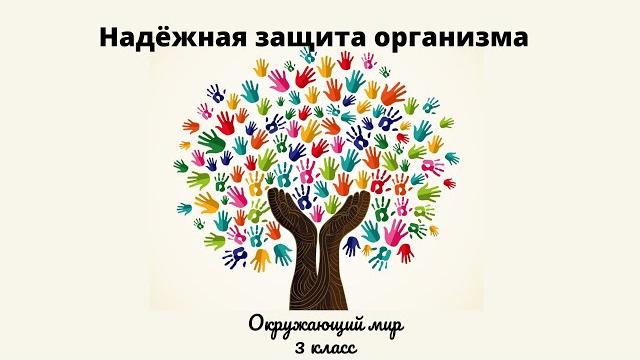 Надежная защита организма Надежная защита организма