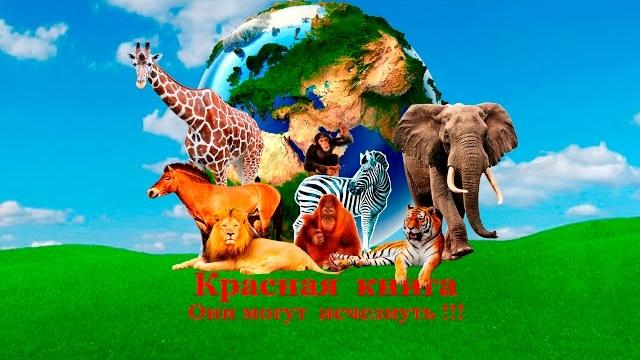 Красная книга. Они могут исчезнуть!!! Красная книга. Они могут исчезнуть!!!