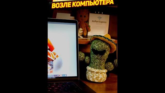 Зачем ставят кактус возле компьютера? #Shorts Зачем ставят кактус возле компьютера? #Shorts