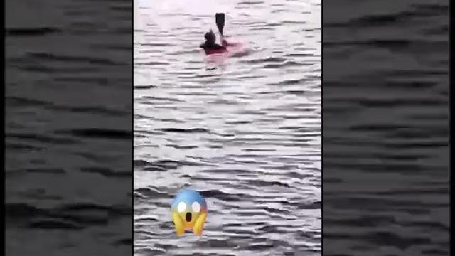Срочно!!! То самое видео с туристкой, на которую напала акула. #акула #доброеутро #египет #хургада Срочно!!! То самое видео с туристкой, на которую напала акула. #акула #доброеутро #египет #хургада