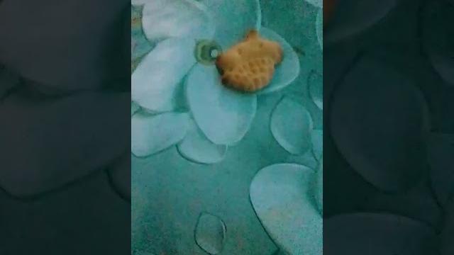 Хорошее видео получилось Хорошее видео получилось