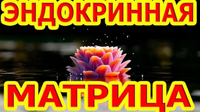 Самая Важная и Мощная Матрица П. Гаряева По Эндокринной Системе Человека. Самая Важная и Мощная Матрица П. Гаряева По Эндокринной Системе Человека.