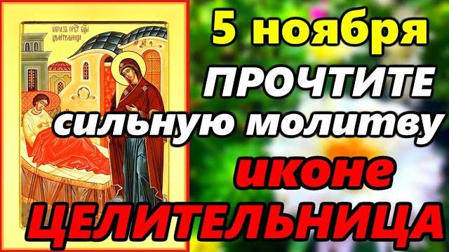 5 ноября СИЛЬНАЯ МОЛИТВА Иконе Божией Матери Целительница в праздник Иконы об ИСЦЕЛЕНИИ от БОЛЕЗНИ 5 ноября СИЛЬНАЯ МОЛИТВА Иконе Божией Матери Целительница в праздник Иконы об ИСЦЕЛЕНИИ от БОЛЕЗНИ