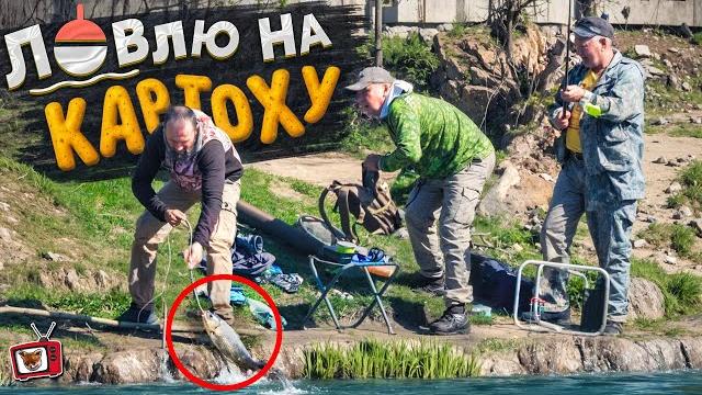 ПОЙМАЛ трех ОГРОМНЫХ карпов на КАРТОШКУ! НОВИЧОК на РЫБАЛКЕ! А ведь НИКТО НЕ ВЕРИЛ в мою УДОЧКУ! ПОЙМАЛ трех ОГРОМНЫХ карпов на КАРТОШКУ! НОВИЧОК на РЫБАЛКЕ! А ведь НИКТО НЕ ВЕРИЛ в мою УДОЧКУ!