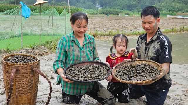Husband followed his wife to the field and accidentally discovered a field snail - happy family Husband followed his wife to the field and accidentally discovered a field snail - happy family