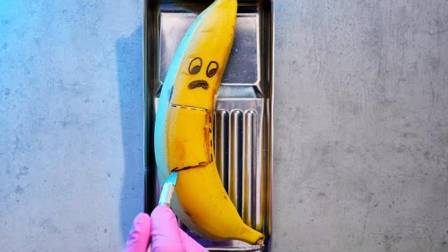It's a girl! Banana is Pregnant #shorts It's a girl! Banana is Pregnant #shorts