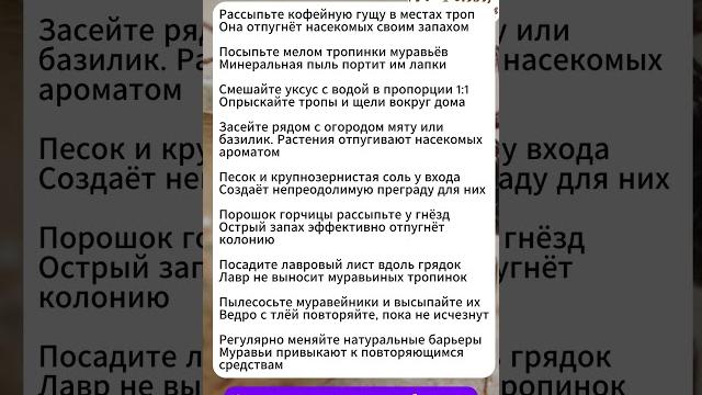Как убрать муравьёв с участка без химии #лайфхаки #сад Как убрать муравьёв с участка без химии #лайфхаки #сад