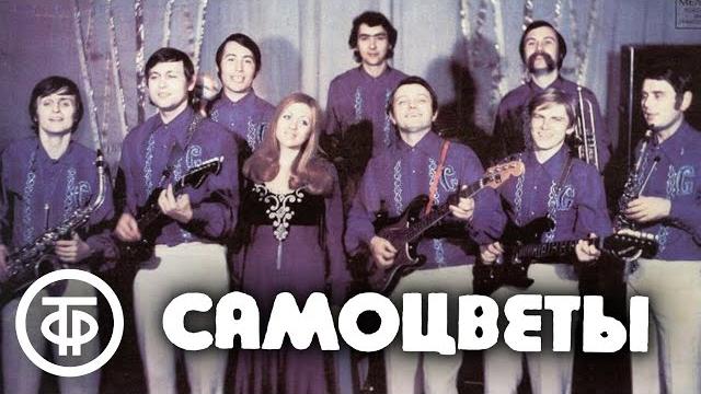 ВИА "Самоцветы". Сборник песен (1973-87) ВИА "Самоцветы". Сборник песен (1973-87)