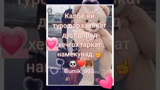 Видеои ошики Видеои ошики