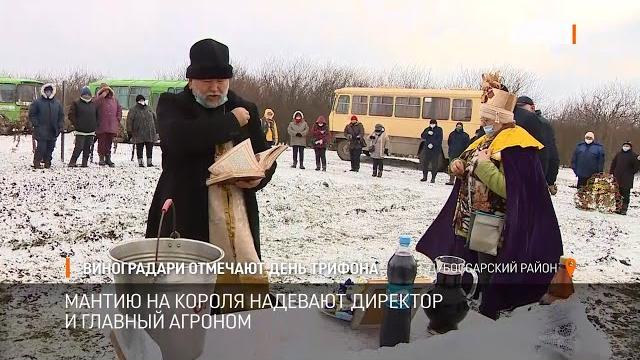 Виноградари отмечают День Трифона Виноградари отмечают День Трифона