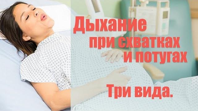 Дыхание при схватках и потугах. Три вида Дыхание при схватках и потугах. Три вида