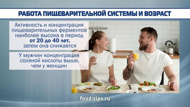 Сколько времени переваривается пища? Сколько времени переваривается пища?