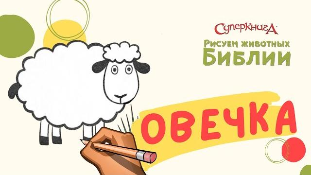 Учимся рисовать животных Библии | Овечка Учимся рисовать животных Библии | Овечка