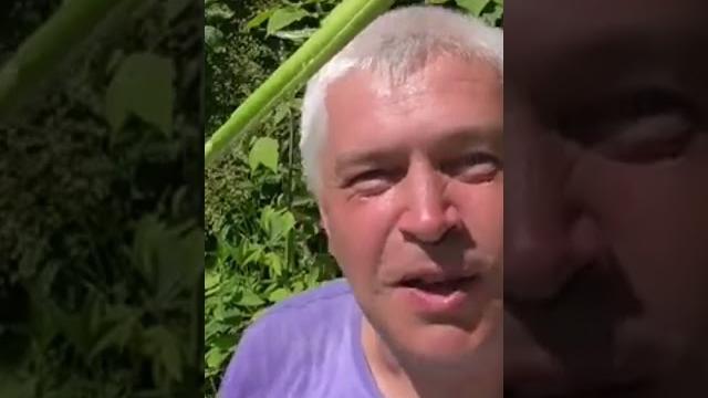 а у меня камыш а у меня камыш