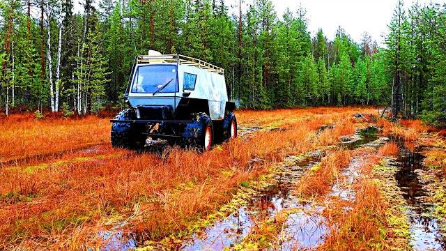 ВОЛК РЯДОМ! ЛОВУШКИ СРАБОТАЛИ! ТОНУ В РЕКЕ, "ВСЁ ТОПИТ" СТРАШНО! ВЫЖИТЬ В ТАЕЖНЫХ УСЛОВИЯХ! ВОЛК РЯДОМ! ЛОВУШКИ СРАБОТАЛИ! ТОНУ В РЕКЕ, "ВСЁ ТОПИТ" СТРАШНО! ВЫЖИТЬ В ТАЕЖНЫХ УСЛОВИЯХ!