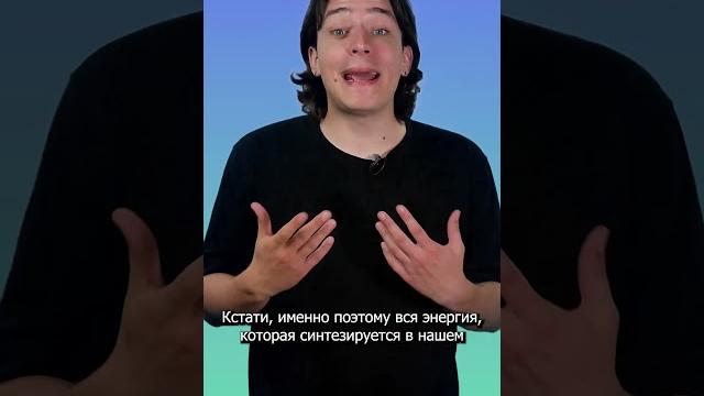 Почему в жару не хочется кушать? Почему в жару не хочется кушать?