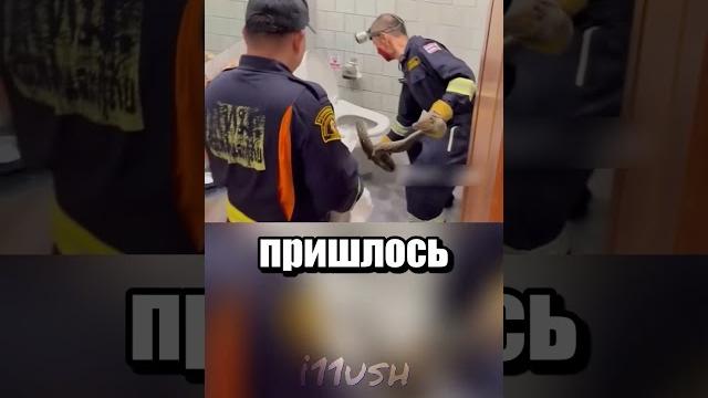 Сюрприз в туалете (УПС, это Таиланд) Сюрприз в туалете (УПС, это Таиланд)