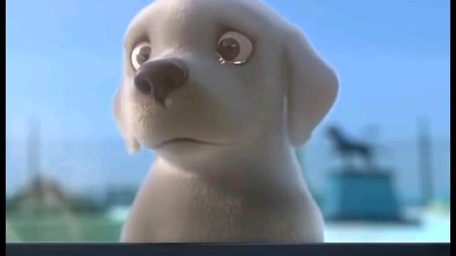 ПОПРОБУЙ НЕ ЗАПЛАКАТЬ! // ГРУСТНОЕ ВИДЕО ПРО СОБАК! ПОПРОБУЙ НЕ ЗАПЛАКАТЬ! // ГРУСТНОЕ ВИДЕО ПРО СОБАК!