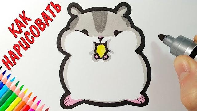 Как нарисовать ХОМЯКА, Легкие рисунки для срисовки Как нарисовать ХОМЯКА, Легкие рисунки для срисовки