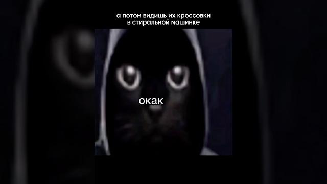 Не стирай обувь в машинке, если не хочешь услышать ОКАК от своей любимой пары #юмор #обзорывб Не стирай обувь в машинке, если не хочешь услышать ОКАК от своей любимой пары #юмор #обзорывб