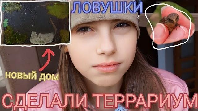 Сделали ТЕРРАРИУМ / Ловушки для ящериц Сделали ТЕРРАРИУМ / Ловушки для ящериц