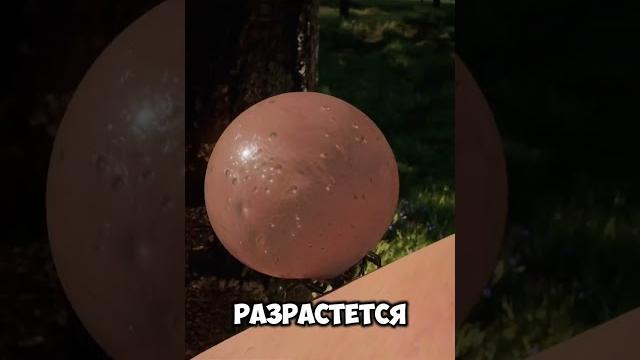 Сколько крови нужно клещу чтобы напиться? Сколько крови нужно клещу чтобы напиться?