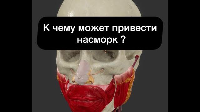 Что такое Гайморит? Пазухи носа в VR Что такое Гайморит? Пазухи носа в VR