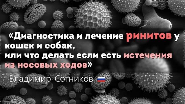 Риниты у кошек и собак. Диагностика и лечение Риниты у кошек и собак. Диагностика и лечение