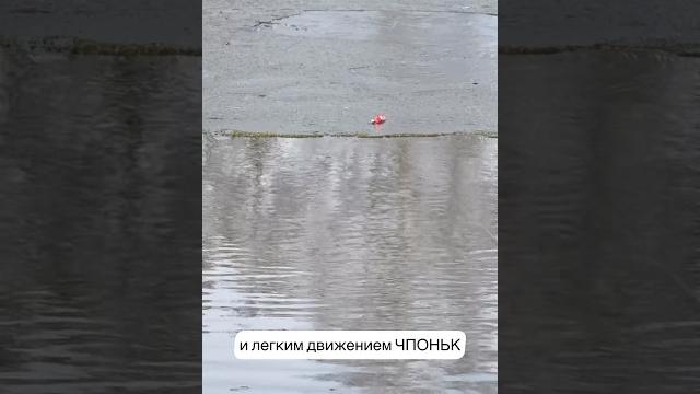 Щука в нестандартном месте #рыбалка #спиннинг #щука Щука в нестандартном месте #рыбалка #спиннинг #щука