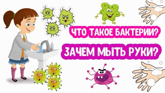 БАКТЕРИИ. Зачем Мыть РУКИ? БАКТЕРИИ. Зачем Мыть РУКИ?