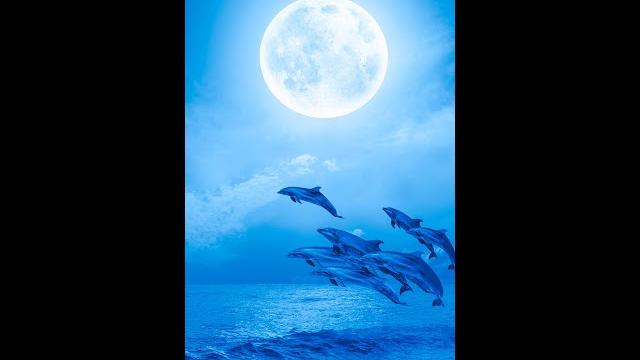 Deep Sleep Music ~ Calming Music for Sleep ~ Fall Asleep ~ Stress Relief ~ Meditation Music :) Deep Sleep Music ~ Calming Music for Sleep ~ Fall Asleep ~ Stress Relief ~ Meditation Music :)