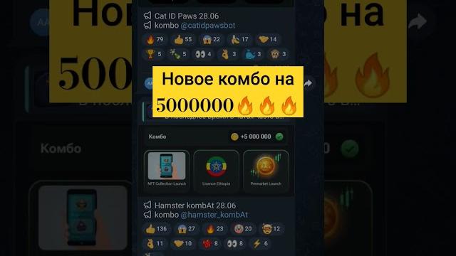 ХАМСТЕР КОМБАТ новое комбо 28 июня ХАМСТЕР КОМБАТ новое комбо 28 июня