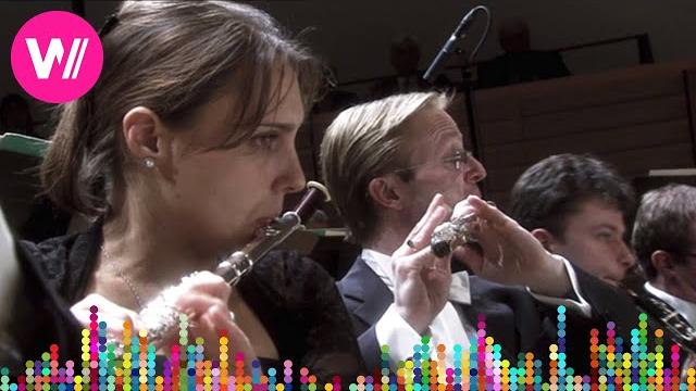 Tchaikovsky - Symphony No. 2 in C minor, Op. 17 (Mariinsky Theatre Orchestra, Valery Gergiev) Tchaikovsky - Symphony No. 2 in C minor, Op. 17 (Mariinsky Theatre Orchestra, Valery Gergiev)