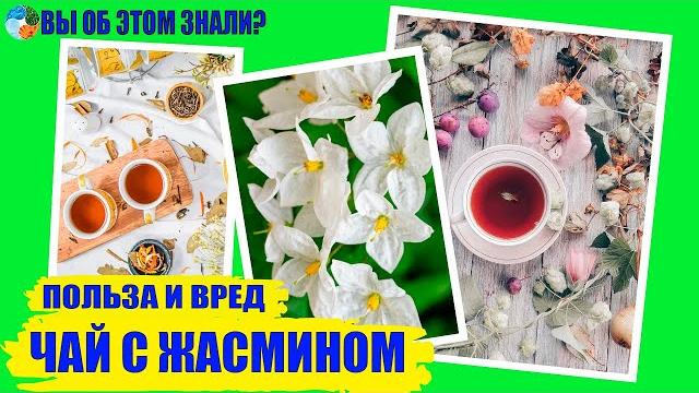 Что лечит чай с жасмином? Что лечит чай с жасмином?