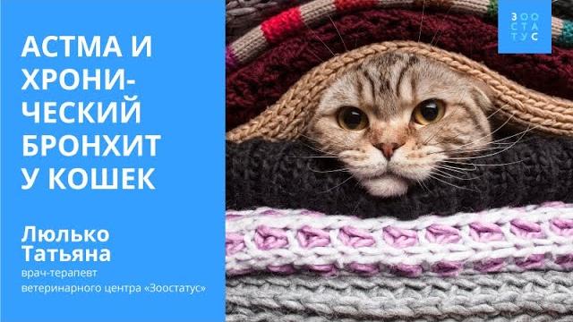 Астма у кошек Астма у кошек