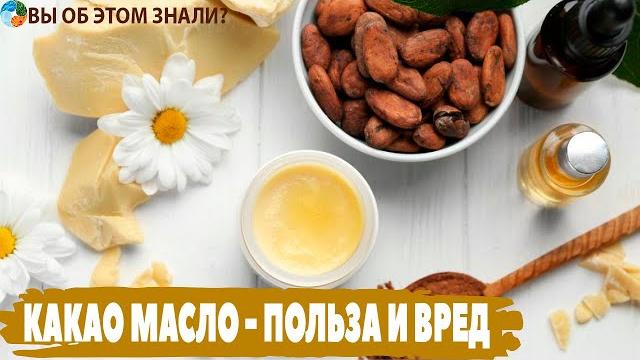 Какао масло - польза и кому нельзя Какао масло - польза и кому нельзя