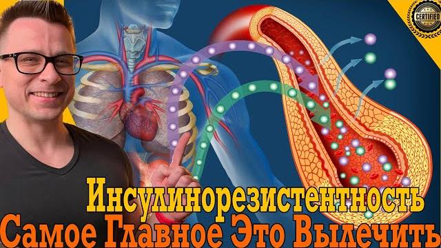 Самое главное – это вылечить ИНСУЛИНОРЕЗИСТЕНТНОСТЬ Самое главное – это вылечить ИНСУЛИНОРЕЗИСТЕНТНОСТЬ