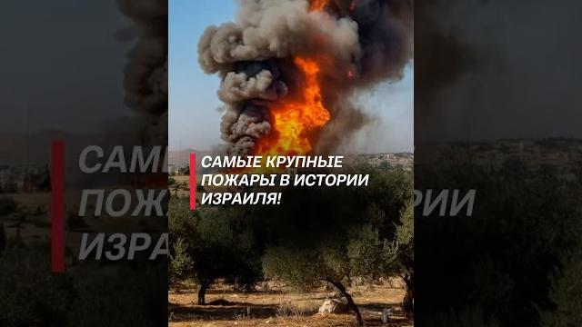 Самые крупные пожары в истории Израиля! #израиль #пожар #чп #новости #политика #катастрофа #поджоги Самые крупные пожары в истории Израиля! #израиль #пожар #чп #новости #политика #катастрофа #поджоги
