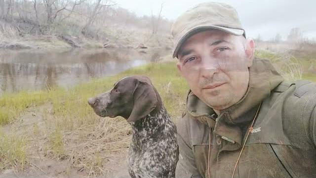 Натаска легавой! Курцхаар Ричард в межсезонье! Натаска легавой! Курцхаар Ричард в межсезонье!