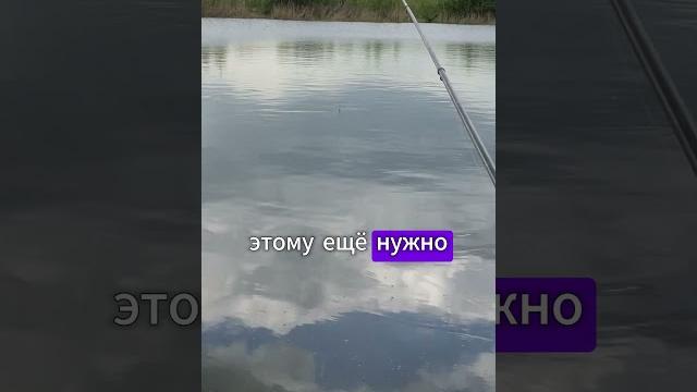 РЫБАЛКА | ПРОЕХАТЬ 120 КМ ЗА РЫБОЙ | ПРИКОЛ#fishing #рыбалка #юмор #shorts #рыба #приколы #рыбак РЫБАЛКА | ПРОЕХАТЬ 120 КМ ЗА РЫБОЙ | ПРИКОЛ#fishing #рыбалка #юмор #shorts #рыба #приколы #рыбак