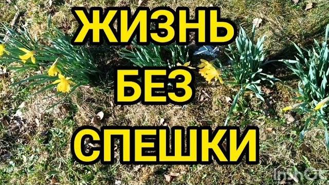 Жизнь без спешки в апреле.Ремонт советской теплицы.Эксклюзивные стулья своими руками.11.04.25 Жизнь без спешки в апреле.Ремонт советской теплицы.Эксклюзивные стулья своими руками.11.04.25